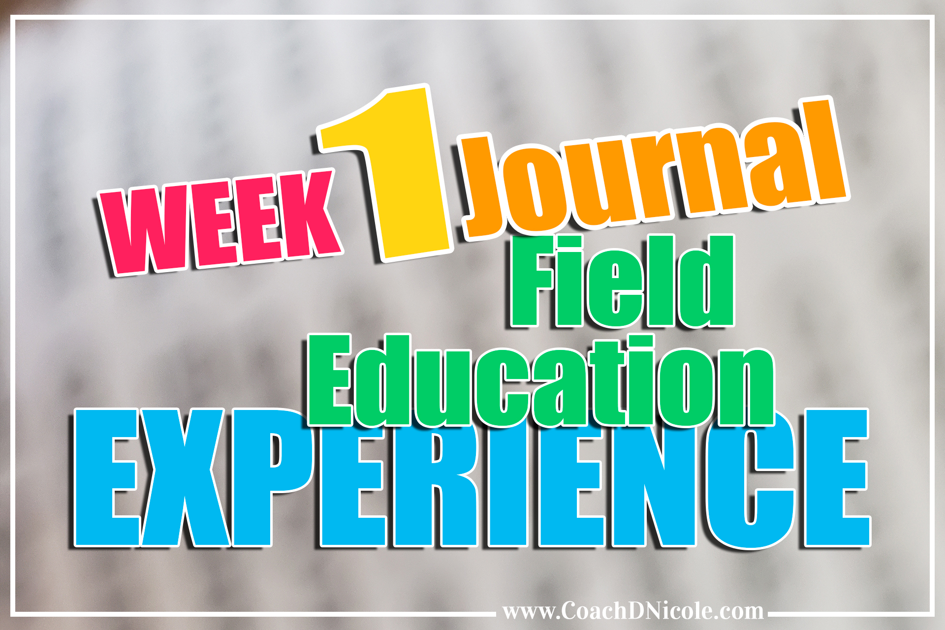 CoachDNicole POSTS Duke Divinity School Field Education Journal Entry Week 1